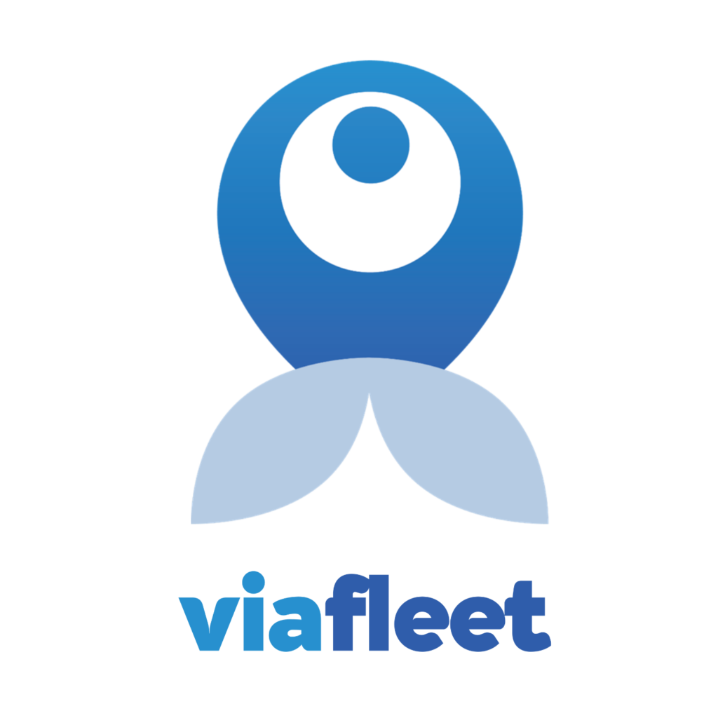 Viafleet fleet management simple