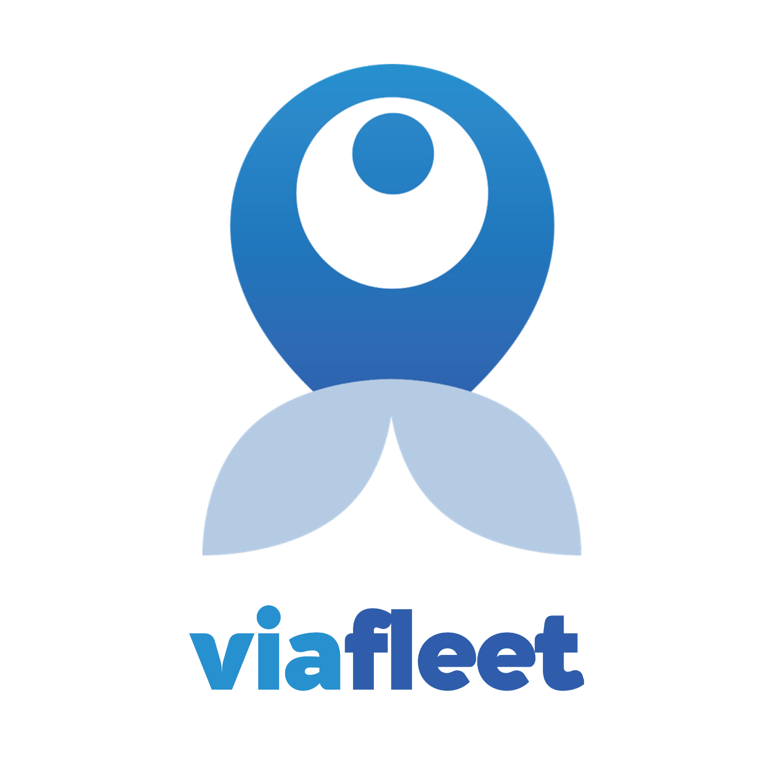 Viafleet fleet management simple
